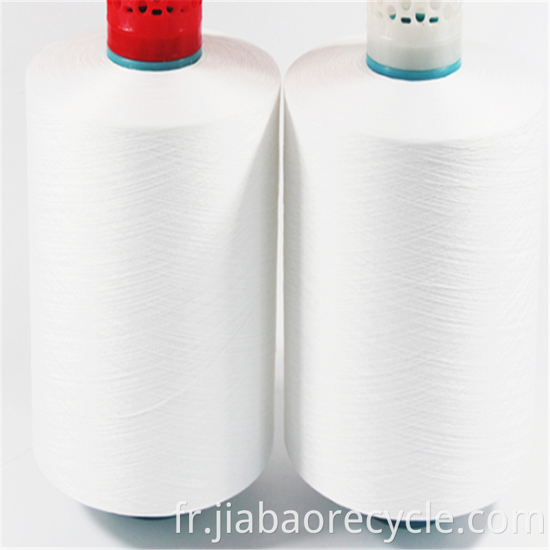 Wholesale Home Textile 100% Polyester Dyde POL Yarn